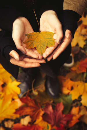 Couple in love with open hands holding a yellow leaf in the forest