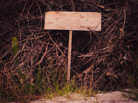 Scary empty wooden plaque lies on dry branches. Copy space. Halloween.の写真素材