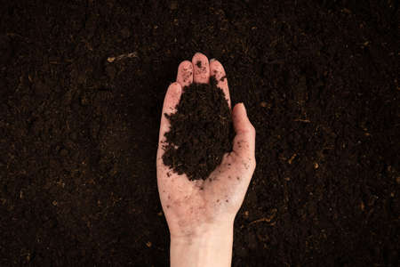 Woman hand holding ground. Top view.の写真素材