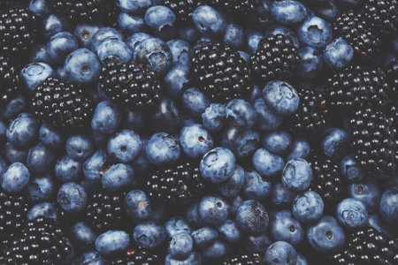 Blackberry and blueberry background. Top view.の写真素材