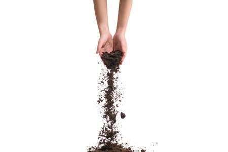 Brown soil in woman hands isolated on white background. The soil falls out of hand.