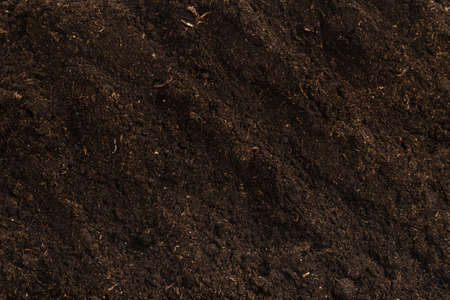 Soil for plant isolated on white background. Soil pattern.