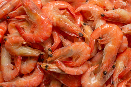 Shrimps background texture. A lot of shrimps. Cooked shrimps.の写真素材