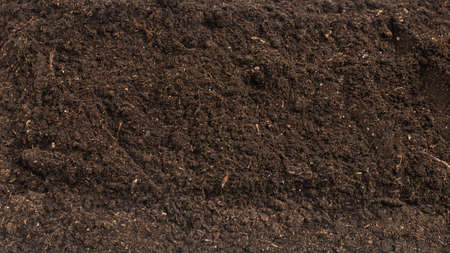 Soil for plant isolated on white background. Soil pattern.
