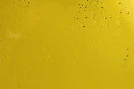 Yellow backgrond with water drops. Copy space.の写真素材