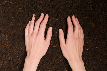 Woman hand holding ground. Top view.