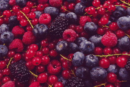 Blackberry, raspberry, blueberry, red currant and mint background.の写真素材