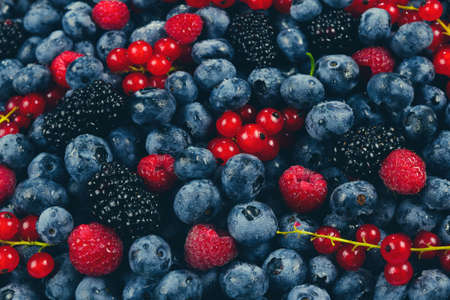 Blackberry, raspberry, blueberry, red currant and mint background.の写真素材