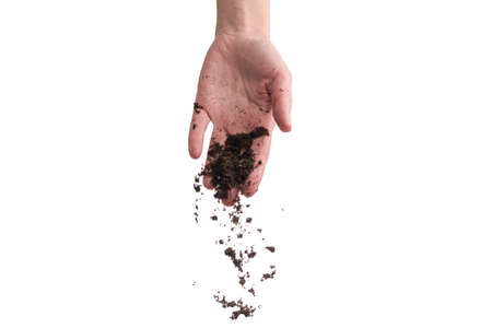 Brown soil in woman hands isolated on white background. The soil falls out of hand.