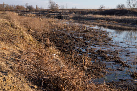 view of swamp. polluted river, countryside.