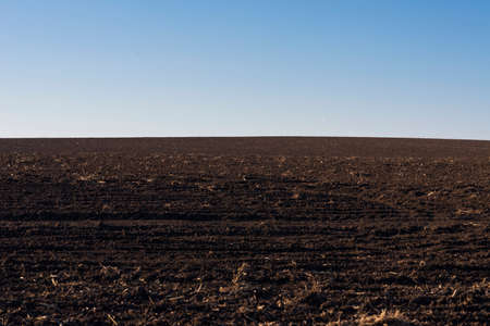 Plowed field and blue sky as a background.の写真素材