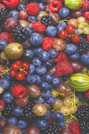 Gooseberries, blueberries, mulberry, raspberries, white and red currants background.の写真素材