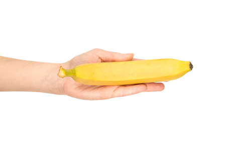 A bunch of bananas in woman hand isolated on a white background.の写真素材