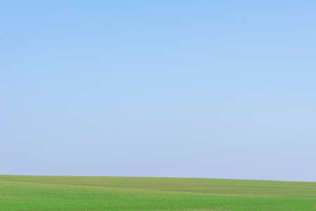 Green field with blue sky as a background.の写真素材