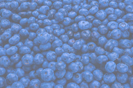 Fresh blueberry background. Texture blueberry berries close up.の写真素材