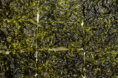 Tasty nori seaweed isolated on a white background.の写真素材