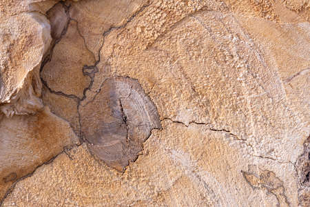 A pile of dry twigs as a background. Wooden background.