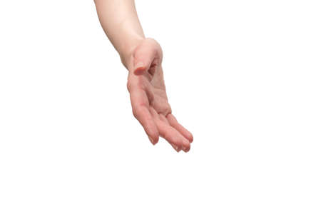 Woman hand isolated on a white background.