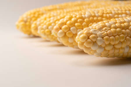 Yellow sweet corn isolated on white background. copyspace.