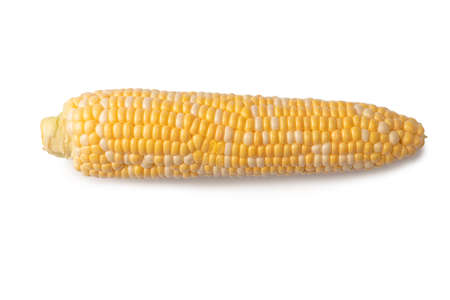 Yellow sweet corn isolated on white background. copyspace.