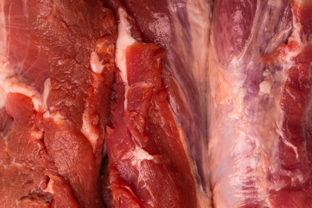 Raw pork tenderloin isolated on a white background. fresh meat.の写真素材
