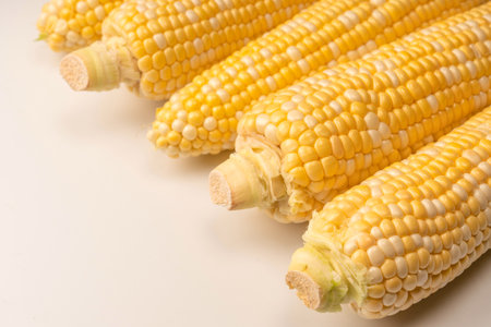 Yellow sweet corn isolated on white background. copyspace.の写真素材