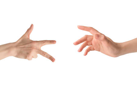 Woman hand isolated on a white background.