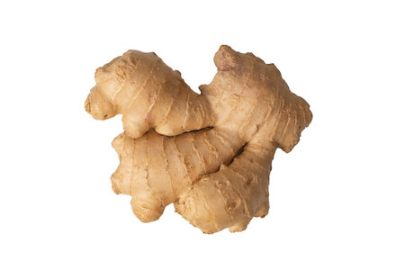 Ginger root isolated on a white background.