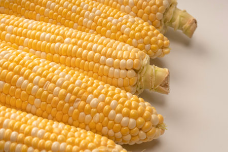 Yellow sweet corn isolated on white background. copyspace.