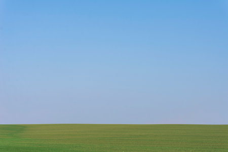 Green field with blue sky as a background.の写真素材