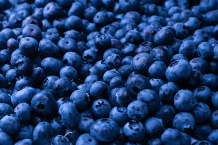 Fresh blueberry as a background. Blueberry berries texture close up.の写真素材