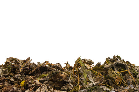 Dry tea leaves and dry fruits isolated on a white background.の写真素材