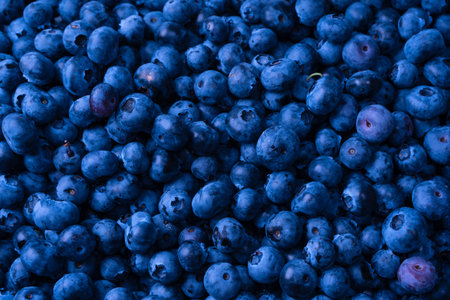 Fresh blueberry as a background. Blueberry berries texture close up.の写真素材