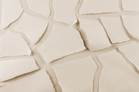 Empty white paper pieces isolated. Space for text or design.の写真素材