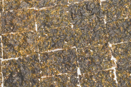 Tasty nori seaweed isolated on a white background.の写真素材