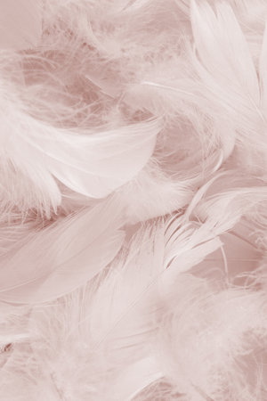 Colorful feather on mint background, top view.の写真素材
