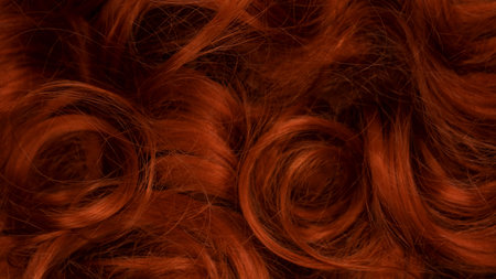 Red hair as a background. Curly red hair.の写真素材