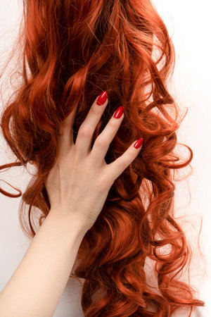Red curly hair in woman hands with red nails on a white background.の写真素材