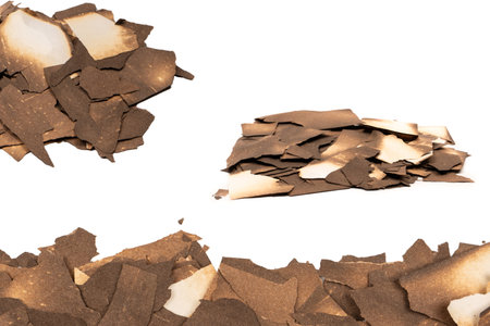 Burnt paper isolated on a white background. copyspace.の写真素材