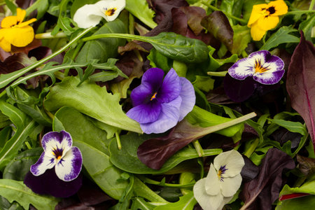Fresh mix of salads with edible flowers.の写真素材