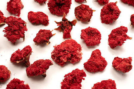 Dried pomegranate flower isolated on a white background. top view.の写真素材