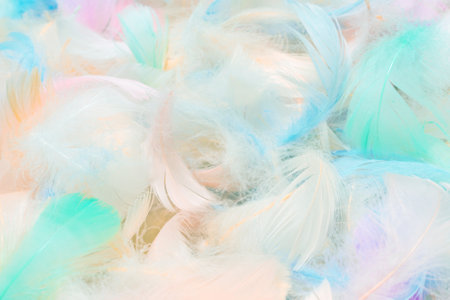 Colorful feather background, top view.の写真素材