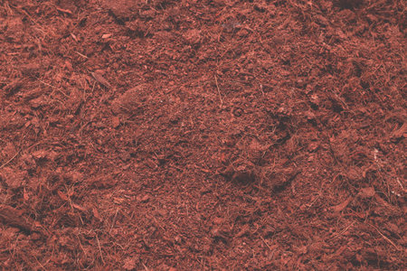 Coconut substrate background. top view.の写真素材