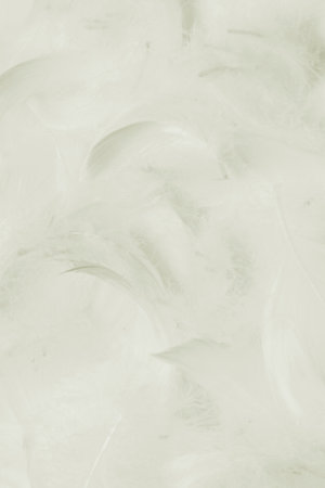 White soft feathers background. Top view.の写真素材