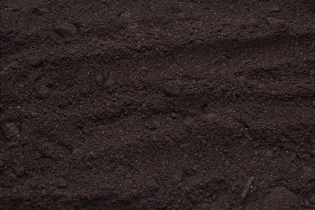 Black land for plant background. top view.の写真素材