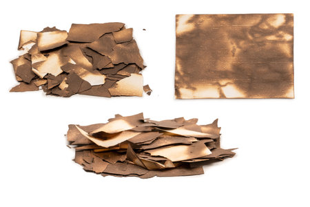 Burnt paper isolated on a white background. Copy space.の写真素材