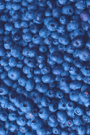 Fresh blueberry as a background. Texture blueberry berries close up.の写真素材