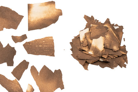 Burnt paper isolated on a white background. Copy space.の写真素材