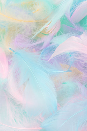 Colorful feather on mint background, top view.の写真素材