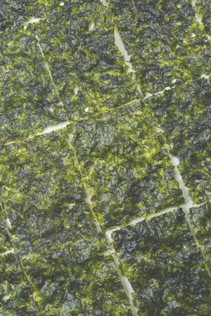 Tasty nori seaweed isolated on a white background.の写真素材